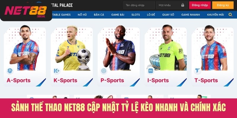 Sảnh thể thao Net88 cập nhật tỷ lệ kèo nhanh và chính xác